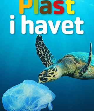 Plast i havet