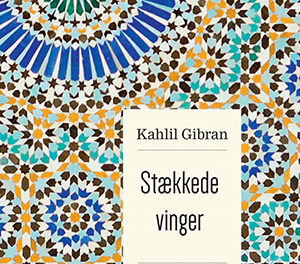 Stækkede vinger