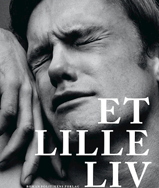 Et lille liv