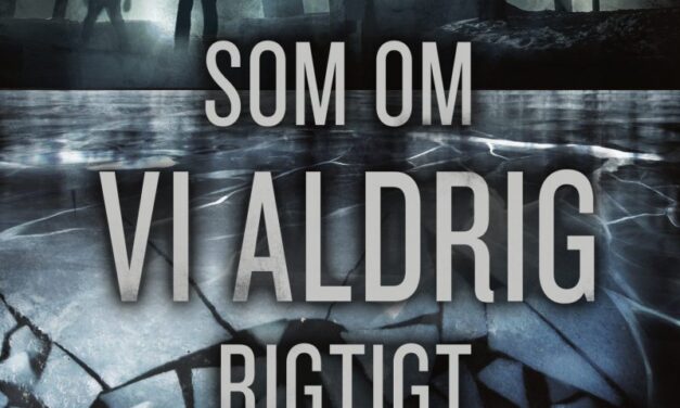 Som om vi aldrig rigtigt fandtes