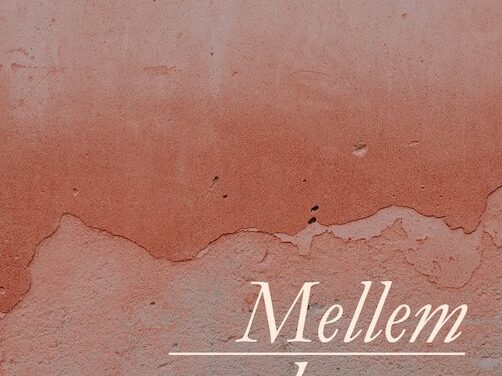 Mellem skygger