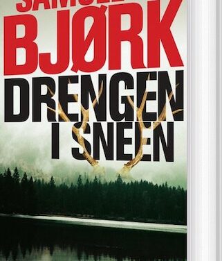 Drengen i sneen