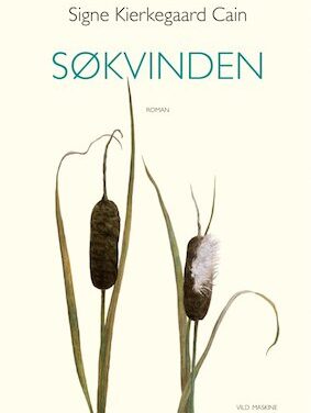 Søkvinden