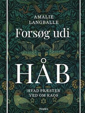 Forsøg udi håb