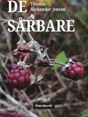 De sårbare