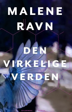 Den virkelige verden