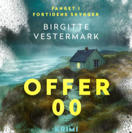 Offer 00