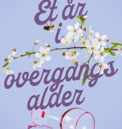Et år i overgangsalder