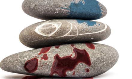 Mord og Mindfulness 2